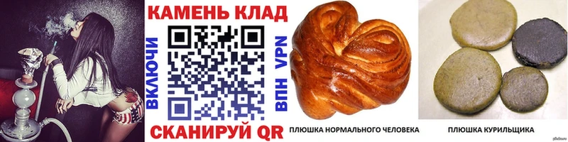 MEGA   Козельск  ГАШ убойный 