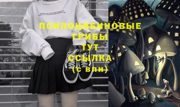 apvp Балахна
