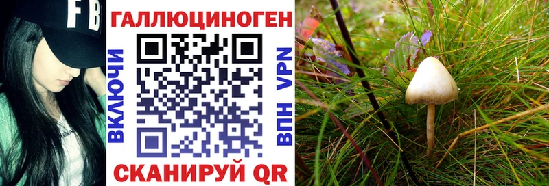 Псилоцибиновые грибы ЛСД Козельск